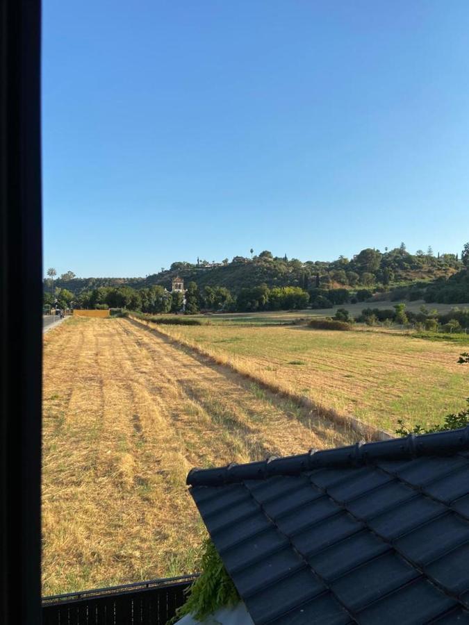Paz Y Tranquilidad, A Un Paso De Sevilla San Juan de Aznalfarache Kültér fotó