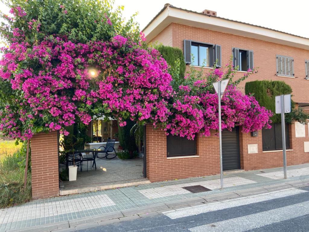Paz Y Tranquilidad, A Un Paso De Sevilla San Juan de Aznalfarache Kültér fotó
